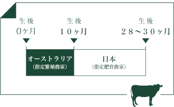 黒毛和牛 国産牛 スギモトグループ 杉本食肉産業株式会社